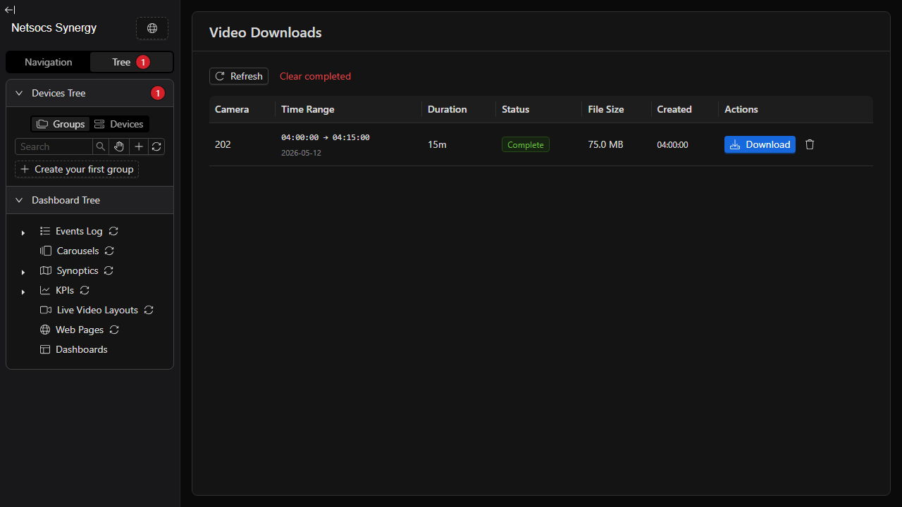 Página de Descargas de Video mostrando un trabajo completado