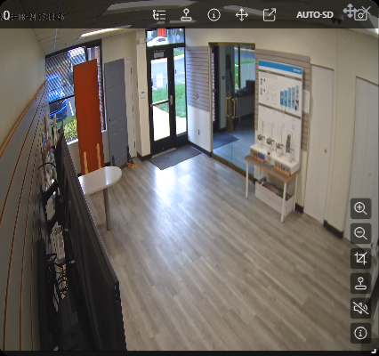Live video panel with its controls